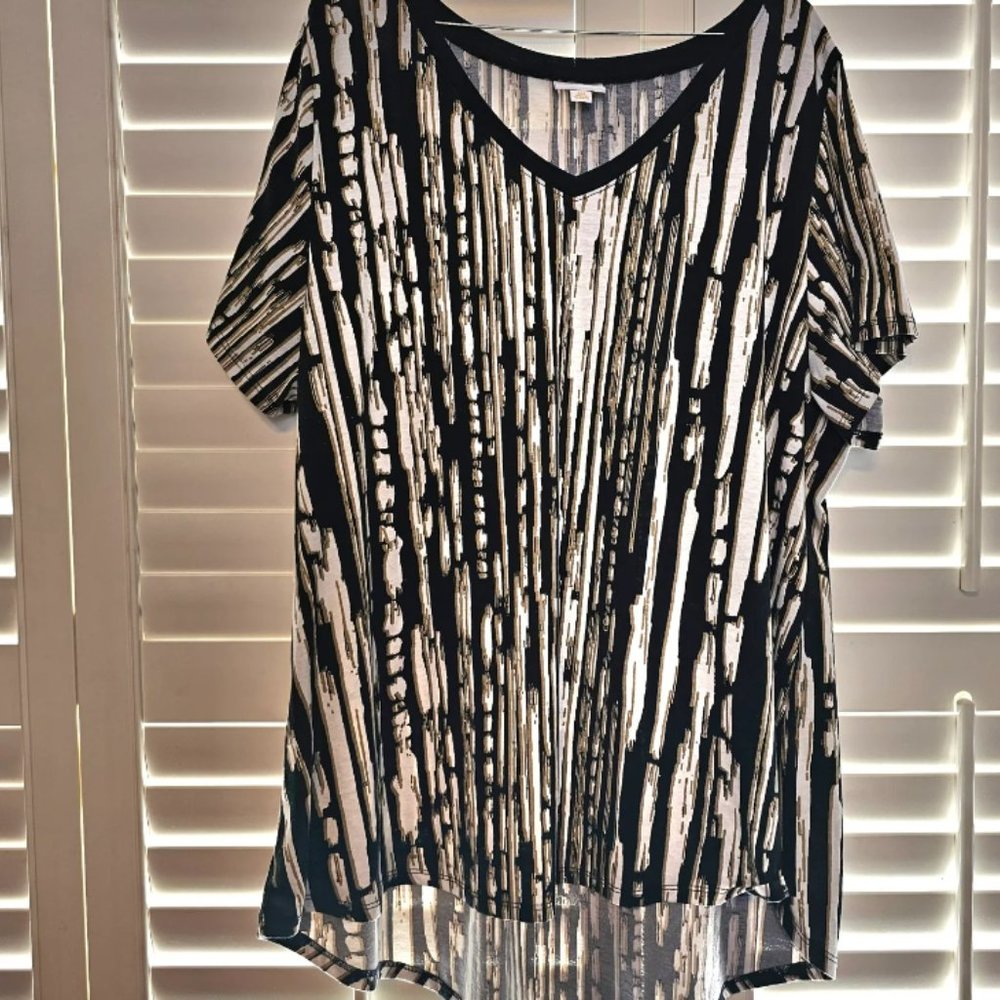 LAST CHANCE T-shirt, Size 3X